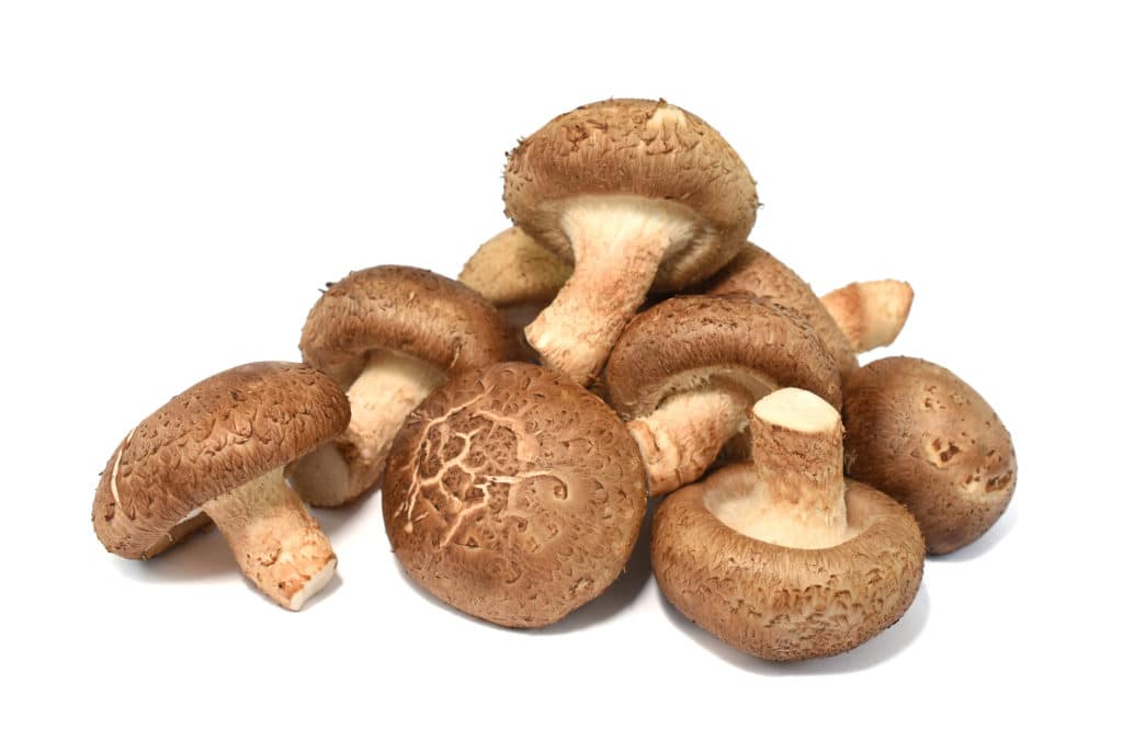 champignondusoleil-agaricusblazei-myveggie