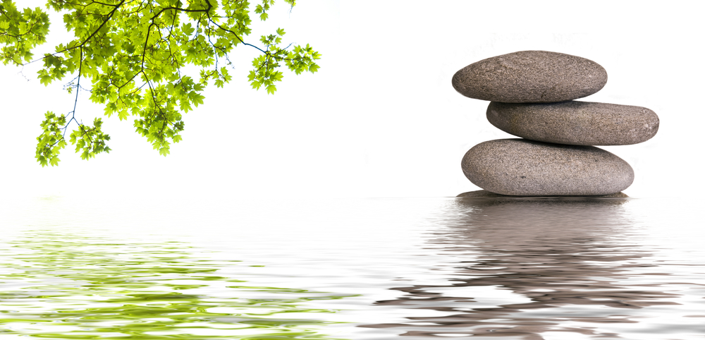 lagestiondustress-myveggie-2