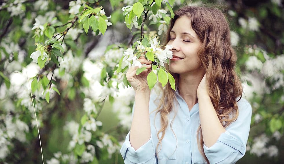 le printemps-myveggie