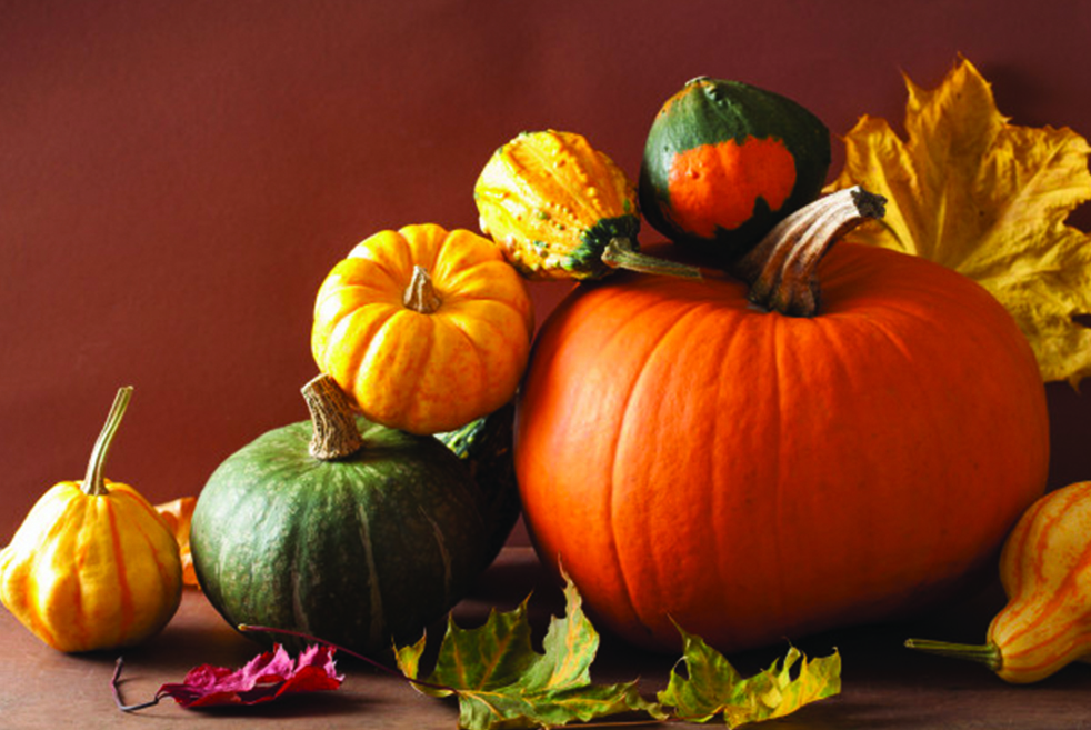 Les aliments de l’automne pour garder la forme aliments automne vitamines