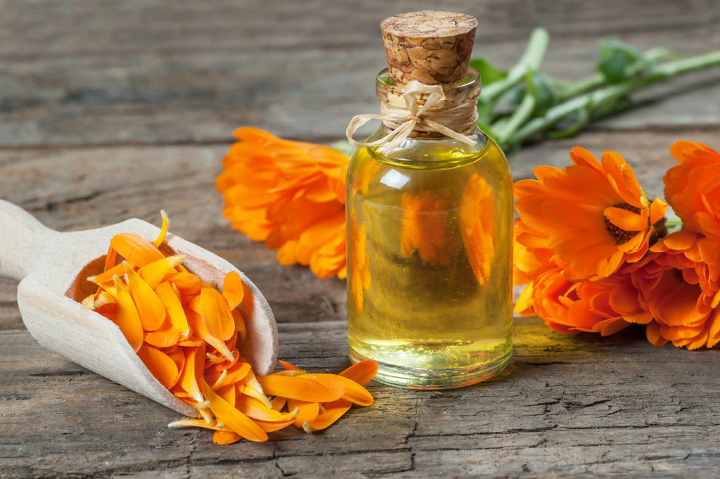 Calendula sunburn oil